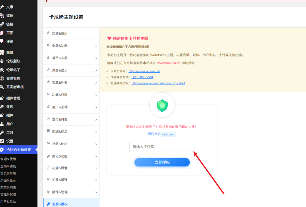 如何安装主题?