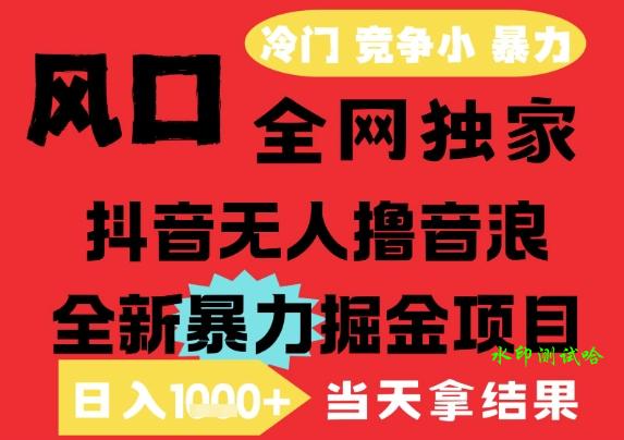 25年6月高爆抖音无人直播最新撸音浪掘金项目，解放双手小白可做，无脑日入1k+，门槛低【揭秘】
